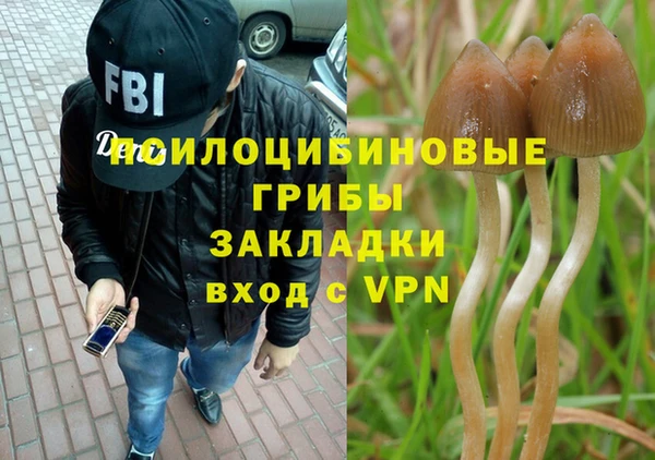 ПСИЛОЦИБИНОВЫЕ ГРИБЫ Армянск