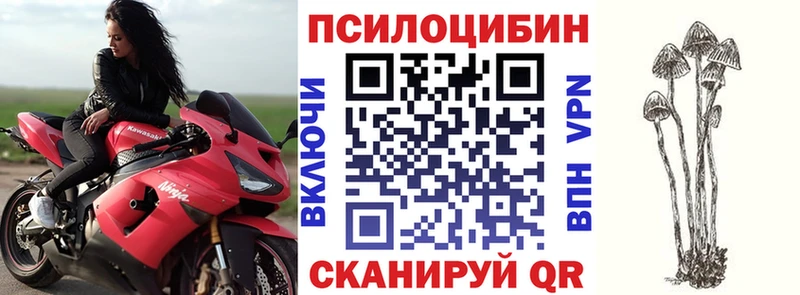 Купить закладки  Томари  Галлюциногенные грибы MAGIC MUSHROOMS 